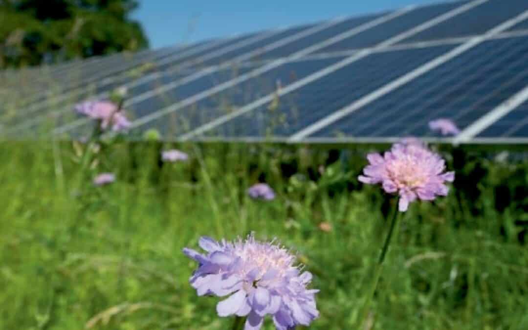 Informationen zum Photovoltaik-Projekt Langenzersdorf & Bisamberg