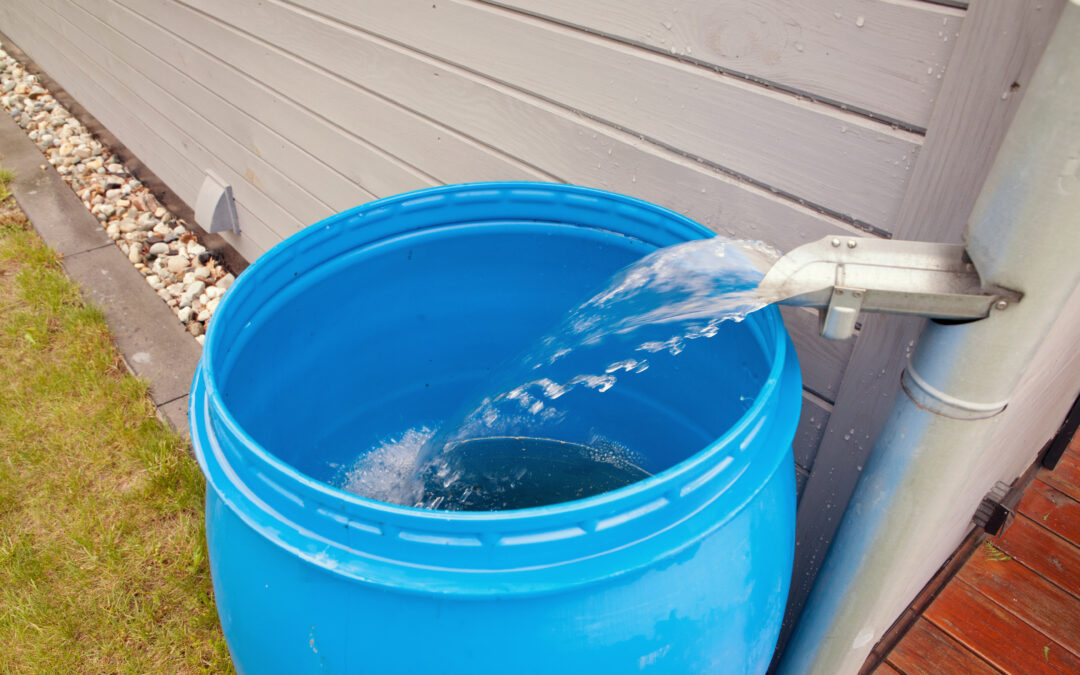 Wasser ist kostbar: Wassersparen im Garten!